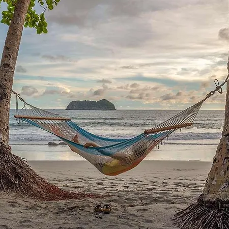 Arenas Del Mar Beachfront And Rain Forest Resort